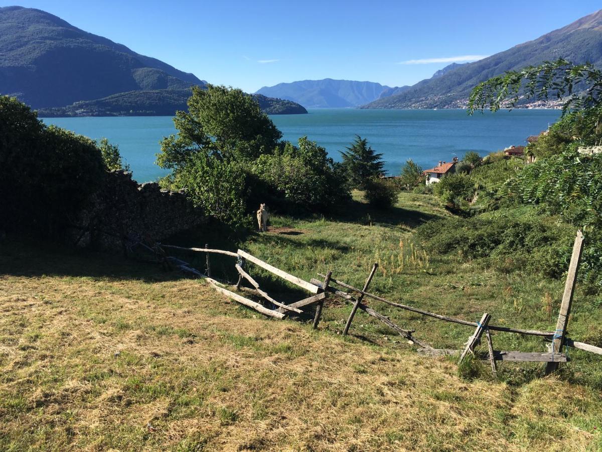 Tuschaus Pensionat Domaso Exteriör bild